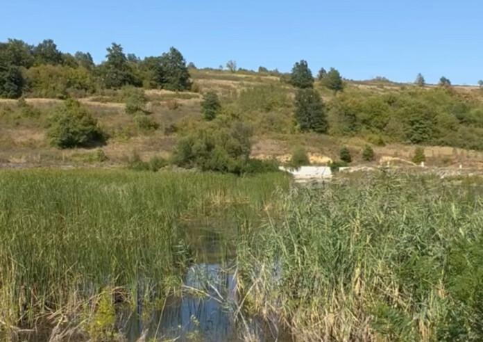 Язовир "Пазар дере"