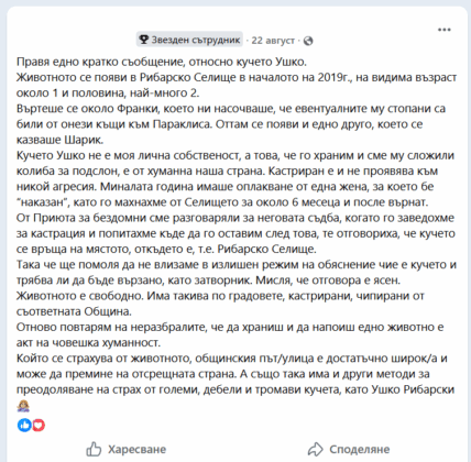 Дребните проблеми