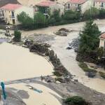 Ситуация в Елените