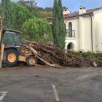 К.к. "Елените"