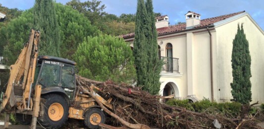 К.к. "Елените"