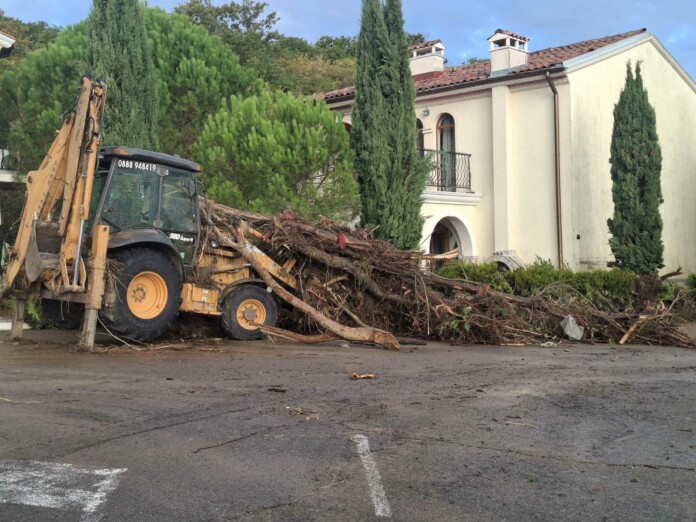 К.к. "Елените" К.к. "Елените"