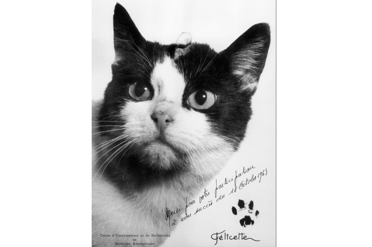 Всички знаем истории за мъже ходили по Луната или за