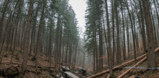 Илюстративна снимка