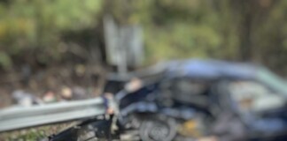 Катастрофа в Плевенско