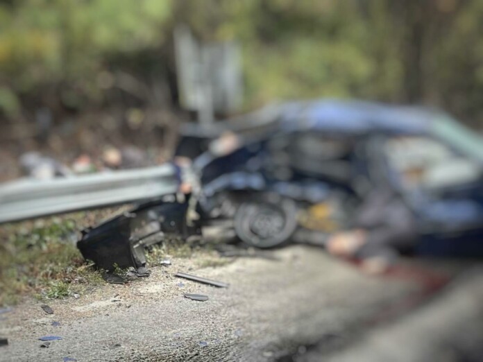 Катастрофа в Плевенско Катастрофа в Плевенско