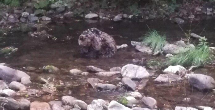 Починало мече Починало мече