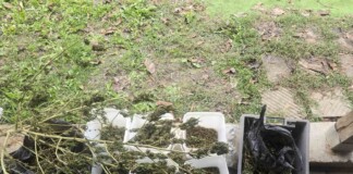 Намерена марихуана. Снимка: ОДМВР-Бургас