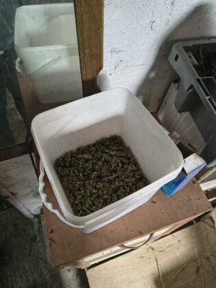 Намерена марихуана. Снимка: ОДМВР-Бургас