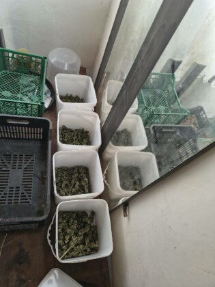 Намерена марихуана. Снимка: ОДМВР-Бургас