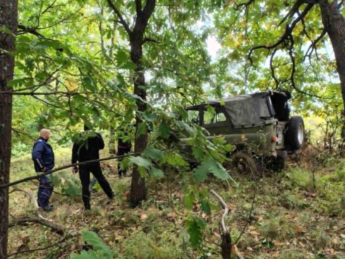 Незаконна сеч Незаконна сеч