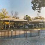 Незаконните конструкции в Борисовата градина