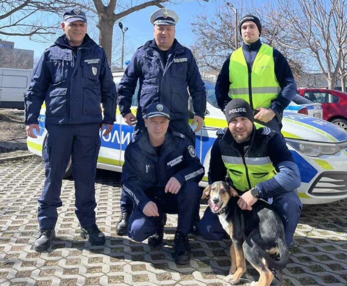 Полицаите и кучето Цезар