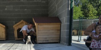 Приют в Горна Оряховица