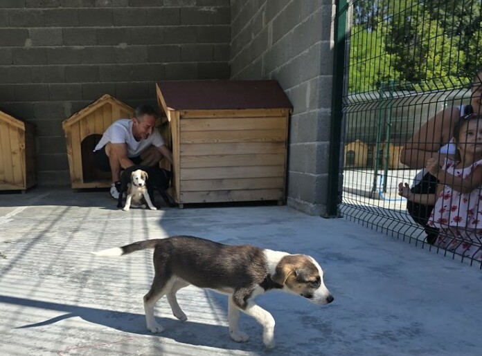 Приют в Горна Оряховица Приют в Горна Оряховица