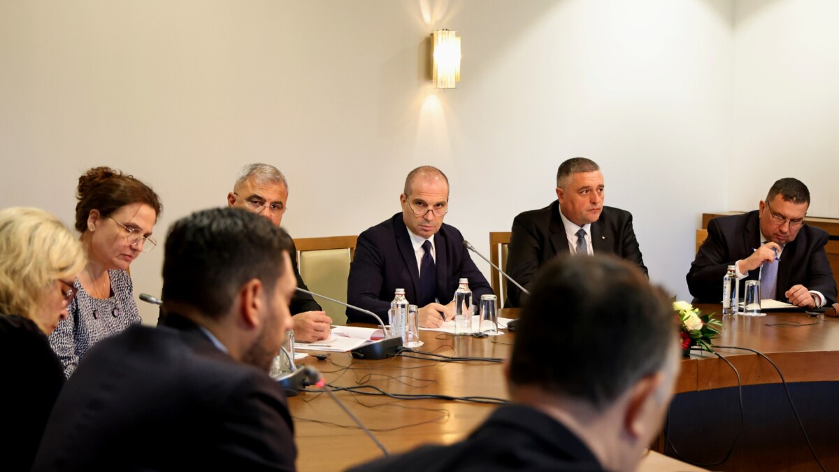 Само два моста свързват България и Румъния по протежение на