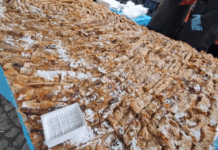 Тиквата рекордьор