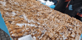 Тиквата рекордьор