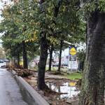 Ситуация в Царево