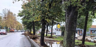 Ситуация в Царево