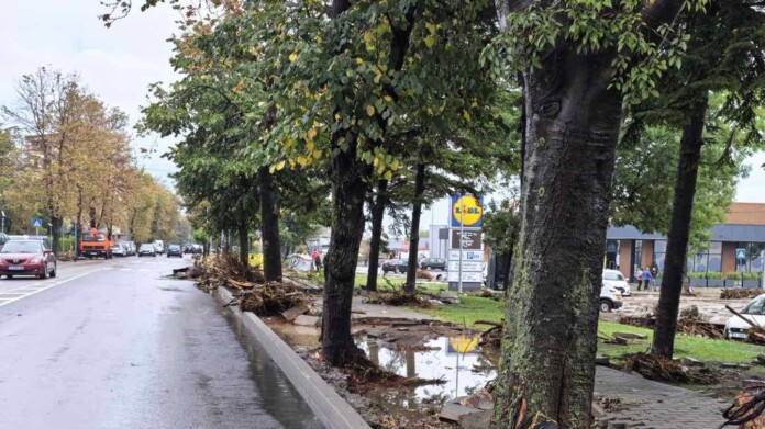 Ситуация в Царево Ситуация в Царево