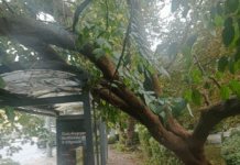 Затрупаната спирка