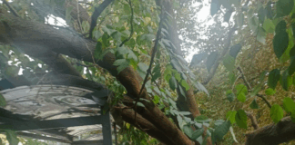 Затрупаната спирка