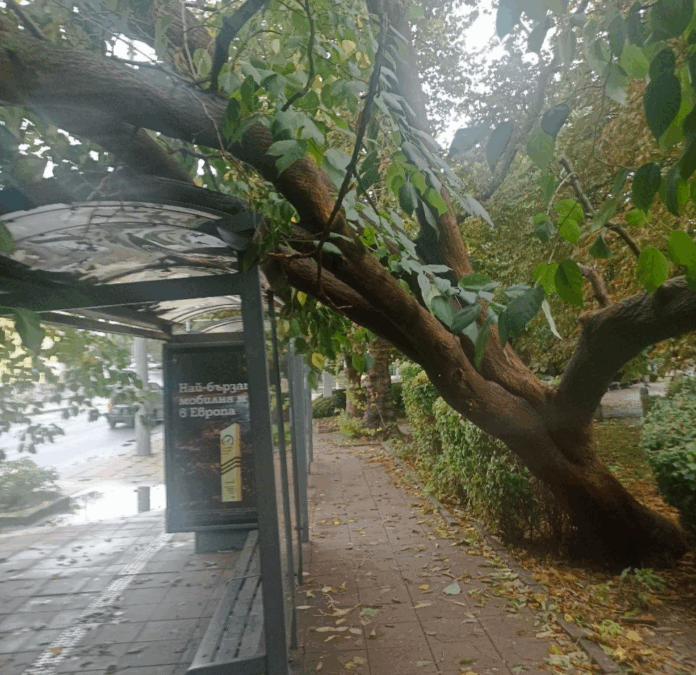 Затрупаната спирка