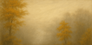 Прогноза за 9 ноември