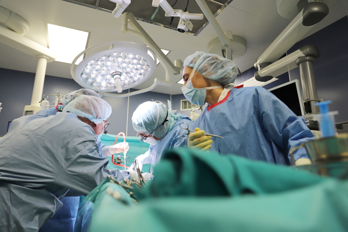 Вчера специалисти от ВМА извършиха поредна чернодробна трансплантация Донорът и