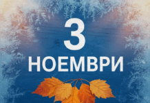 3 ноември