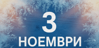 3 ноември