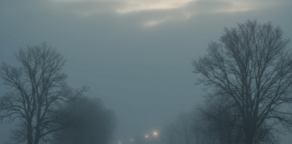 Прогноза за времето