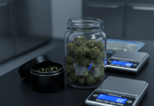 Илюстративна снимка