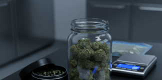 Илюстративна снимка