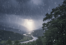 Прогноза за времето