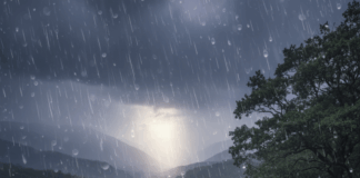 Прогноза за времето