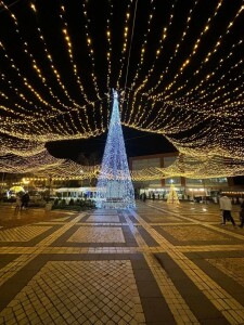 Коледната елха в Елин Пелин