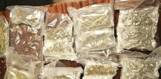 Наркотичните вещества