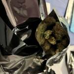 Наркотици в Стара Загора