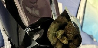 Наркотици в Стара Загора