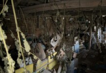 Наркотиците