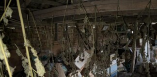 Наркотиците