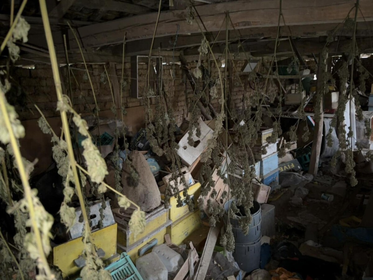 Сигнал до Искра бг Фирма за дигитални услуги мами клиенти