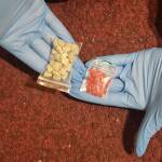 Наркотиците