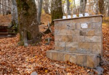 Протести назряват заради плана за Витоша Природен парк "Витоша"