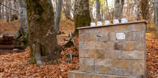 Природен парк "Витоша"