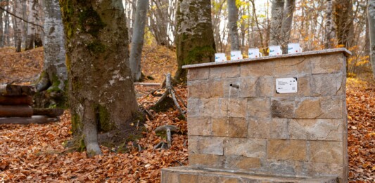 Природен парк "Витоша"