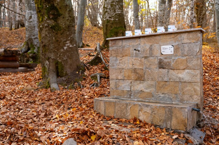 Природен парк "Витоша"