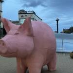 Прасе - касичка